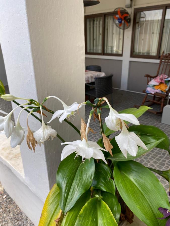 Gardenia Apartments Pereybere Beach Exterior foto